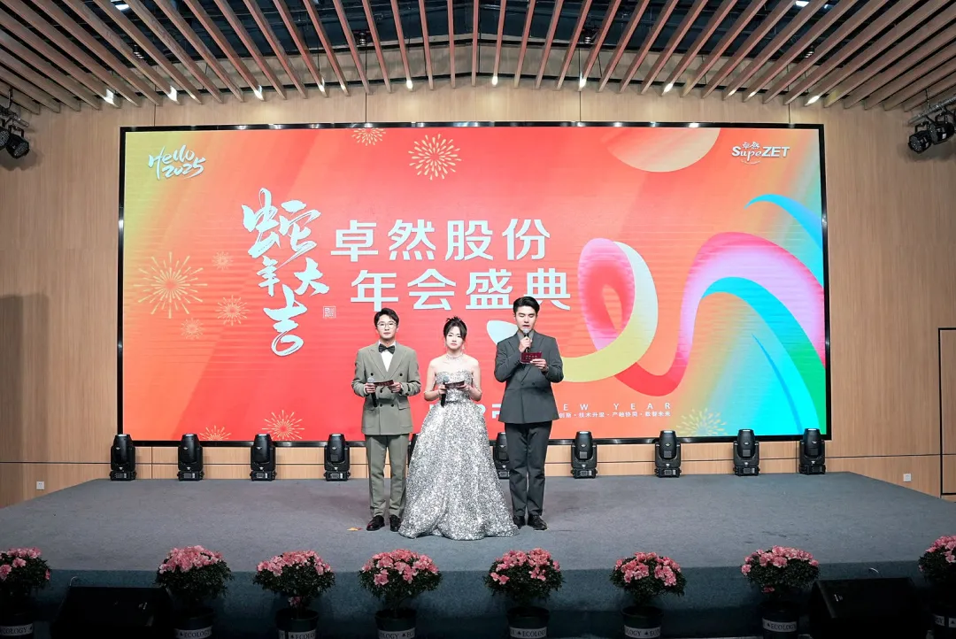 奋楫逐浪 力学笃行 | 冰球突破豪华版下载app股份2025年第一季度动态速览